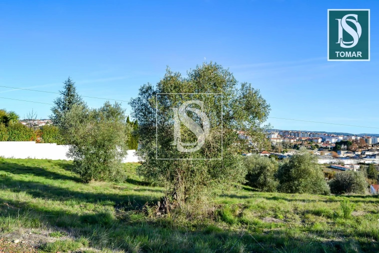 Terreno para Venda em São João Baptista e Santa Maria dos Olivais Foto 4