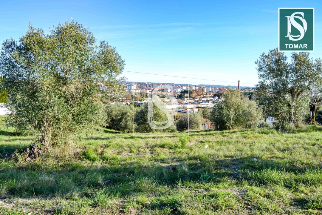 Terreno para Venda em São João Baptista e Santa Maria dos Olivais Foto 3