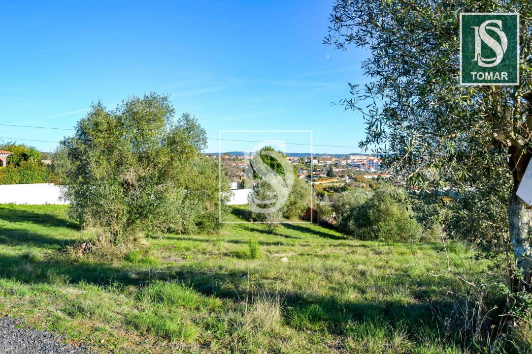 Terreno para Venda em São João Baptista e Santa Maria dos Olivais Foto 1