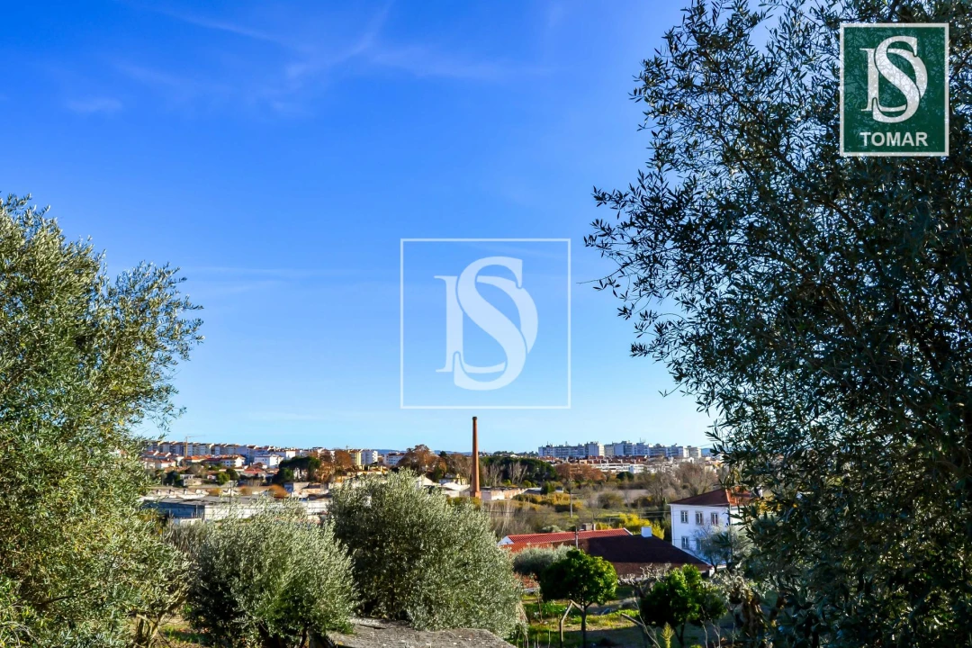 Terreno para Venda em São João Baptista e Santa Maria dos Olivais Foto 11