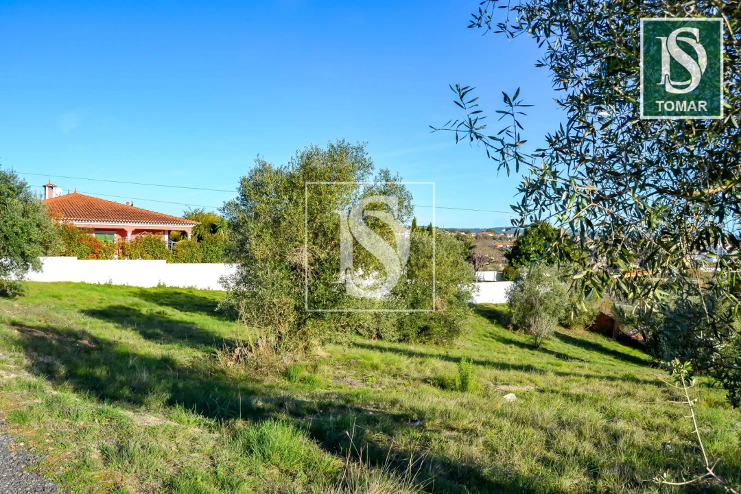 Terreno para Venda em São João Baptista e Santa Maria dos Olivais Foto 2