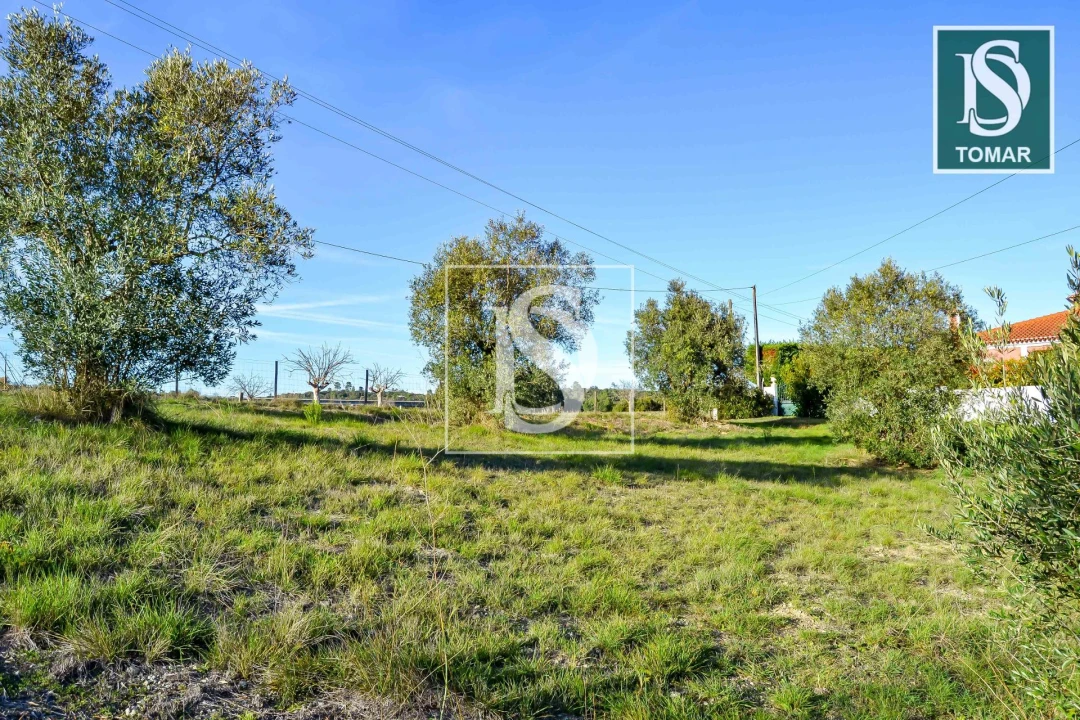 Terreno para Venda em São João Baptista e Santa Maria dos Olivais Foto 18