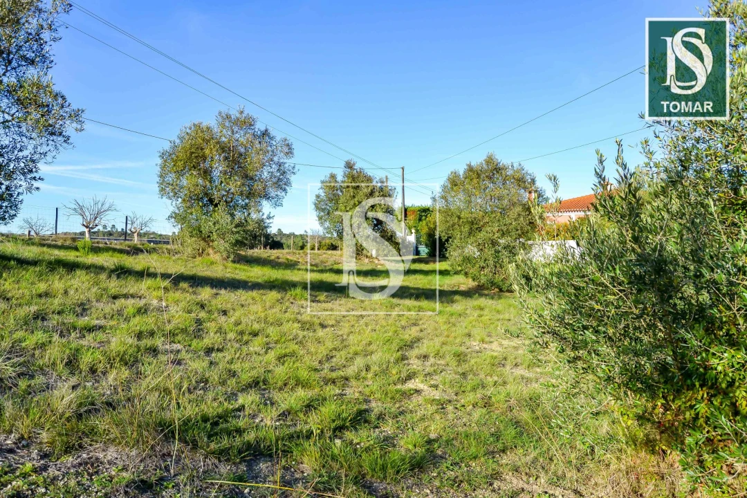 Terreno para Venda em São João Baptista e Santa Maria dos Olivais Foto 17