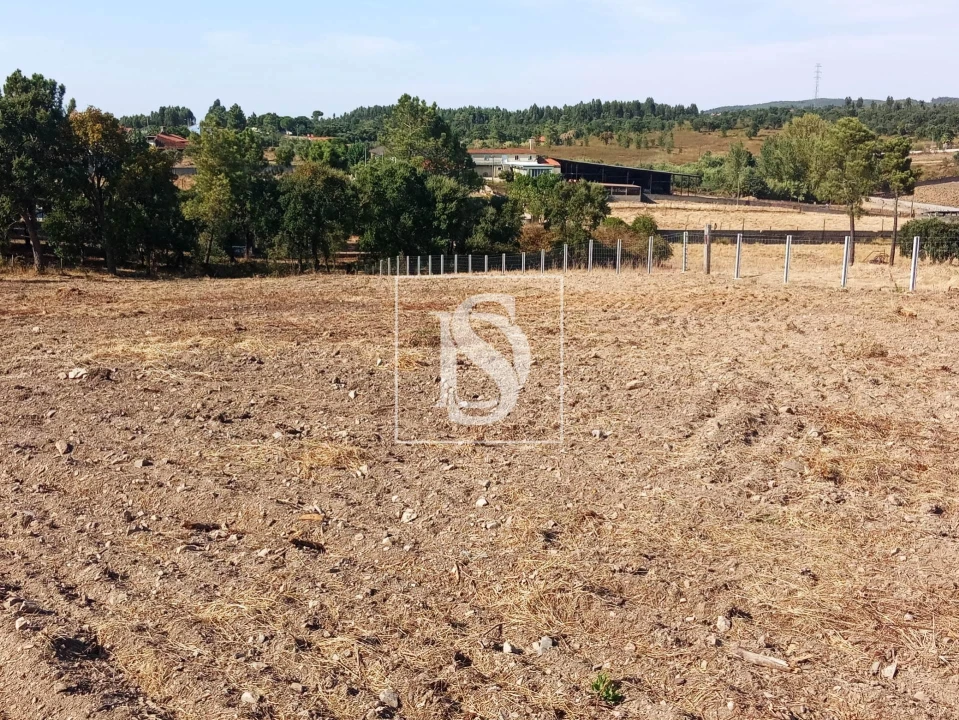 Terreno para Venda em São Pedro de Tomar Foto 4