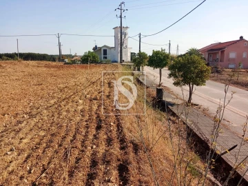 Terreno para Venda em São Pedro de Tomar