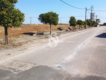 Terreno para Venda em São Pedro de Tomar
