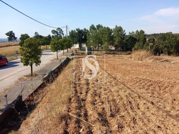 Terreno para Venda em São Pedro de Tomar