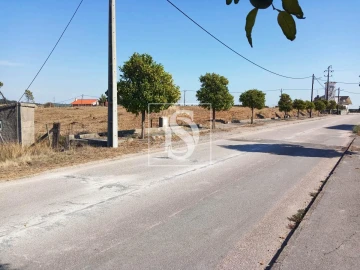 Terreno para Venda em São Pedro de Tomar