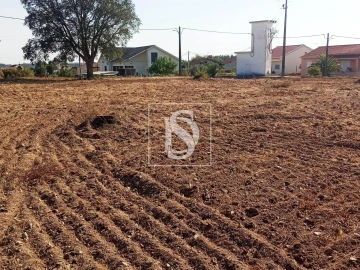Terreno para Venda em São Pedro de Tomar