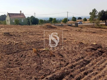 Terreno para Venda em São Pedro de Tomar