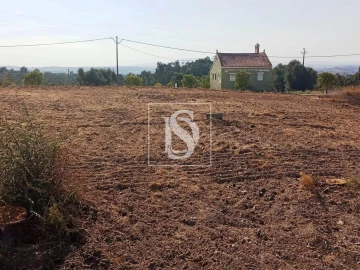 Terreno para Venda em São Pedro de Tomar