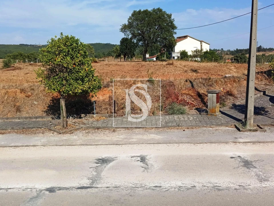 Terreno para Venda em São Pedro de Tomar Foto 13