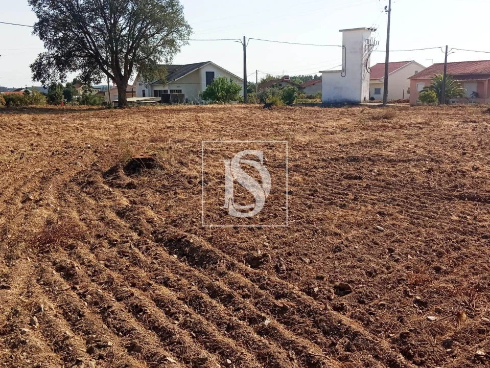 Terreno para Venda em São Pedro de Tomar Foto 5