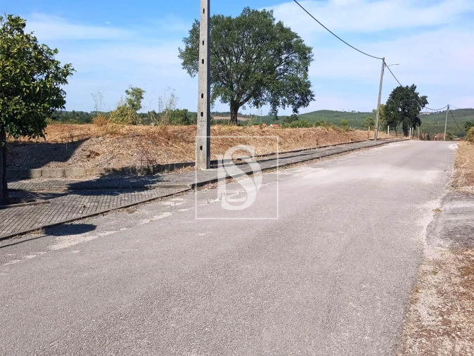 Terreno para Venda em São Pedro de Tomar Foto 12