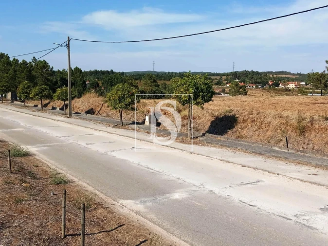 Terreno para Venda em São Pedro de Tomar Foto 14