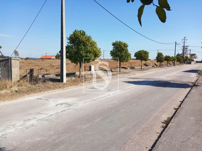 Terreno para Venda em São Pedro de Tomar Foto 9