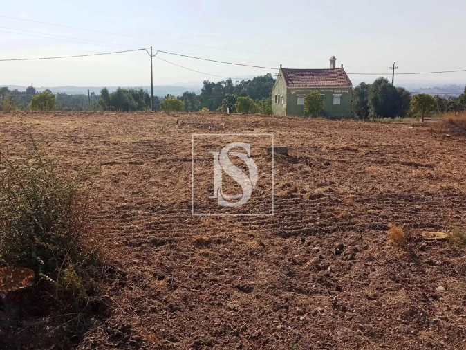 Terreno para Venda em São Pedro de Tomar Foto 7
