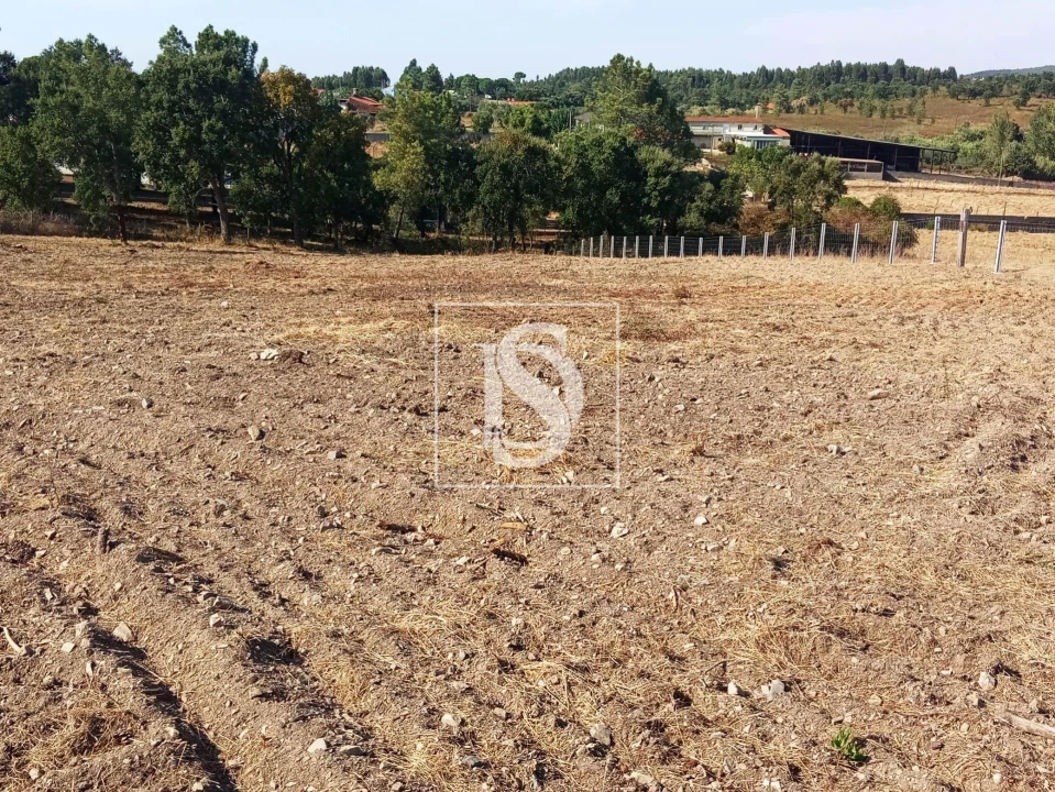 Terreno para Venda em São Pedro de Tomar Foto 6