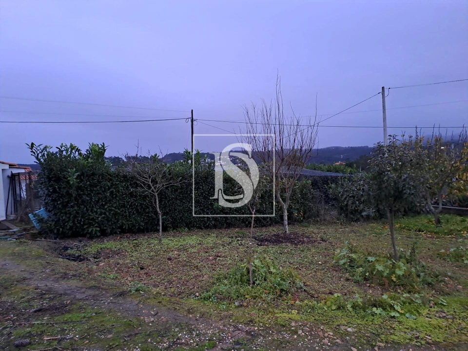 Terreno para Venda em São Pedro de Tomar Foto 5