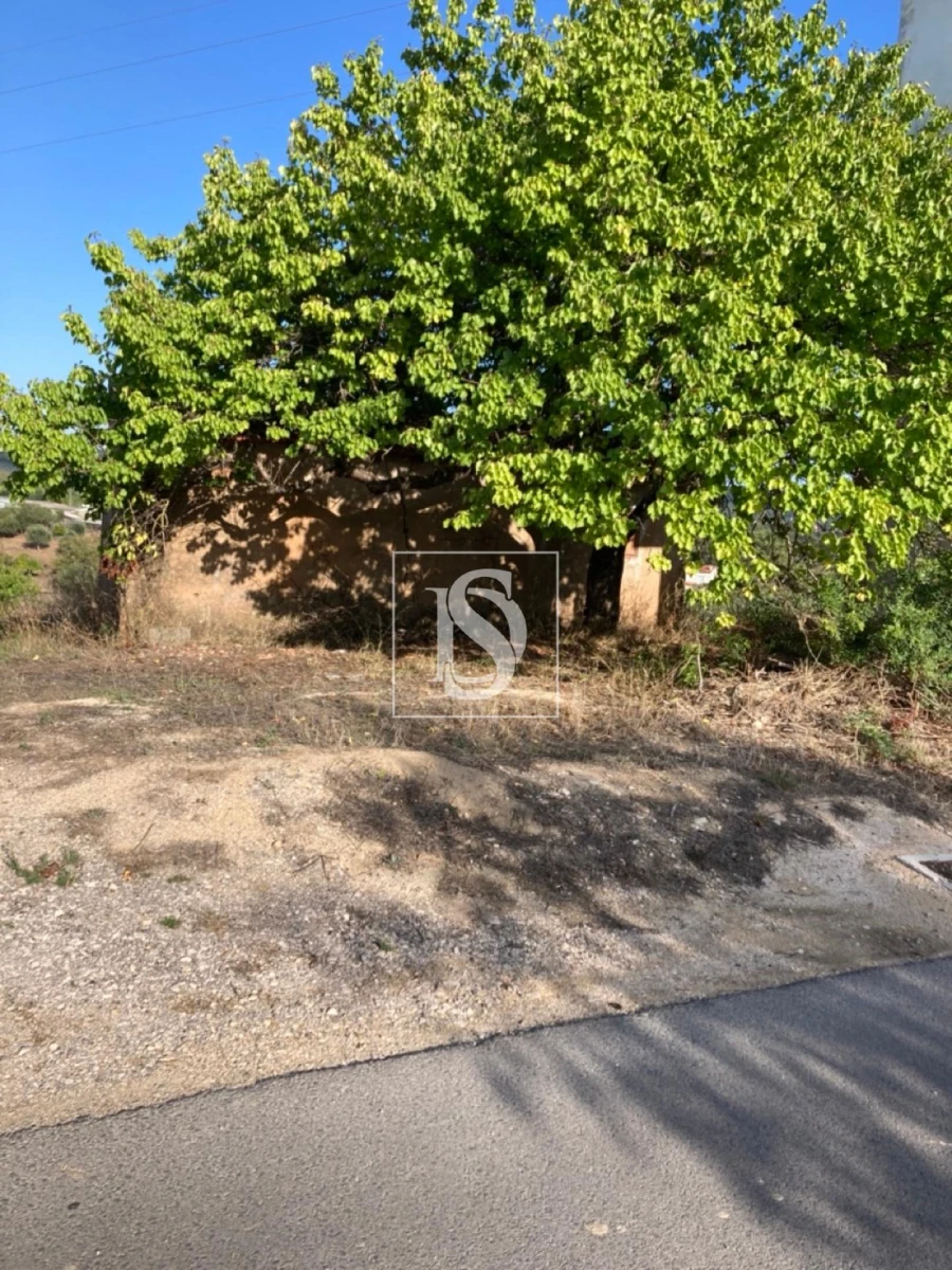 Moradia T3 para Venda em São João Baptista e Santa Maria dos Olivais Foto 3