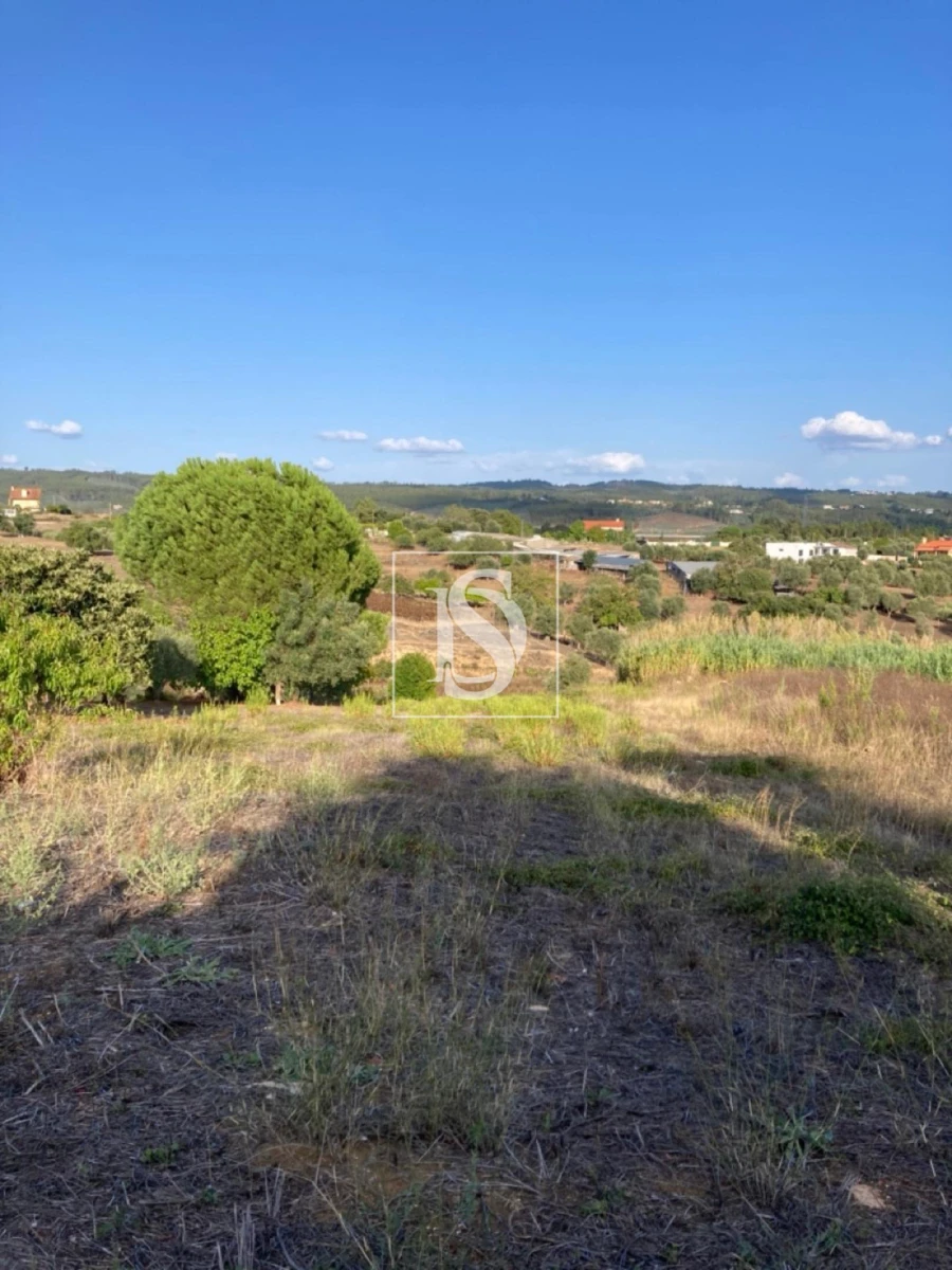 Moradia T3 para Venda em São João Baptista e Santa Maria dos Olivais Foto 10