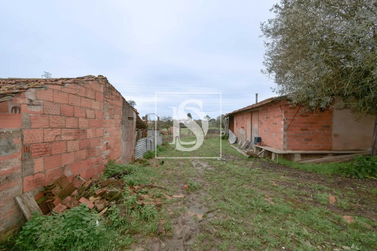 Moradia T4 para Venda em Casais e Alviobeira Foto 9