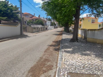 Terreno para Venda em São João Baptista e Santa Maria dos Olivais