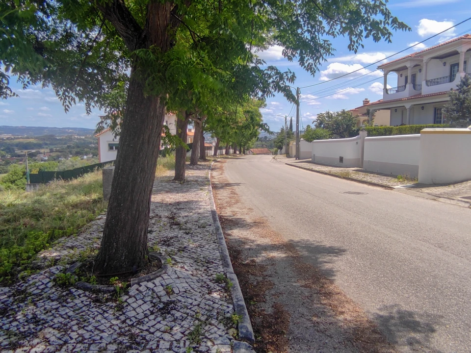Terreno para Venda em São João Baptista e Santa Maria dos Olivais Foto 2
