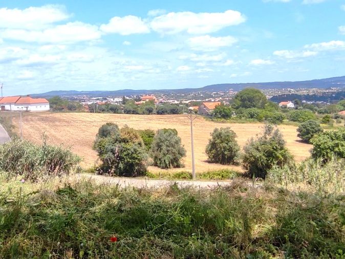 Terreno para Venda em São João Baptista e Santa Maria dos Olivais Foto 7