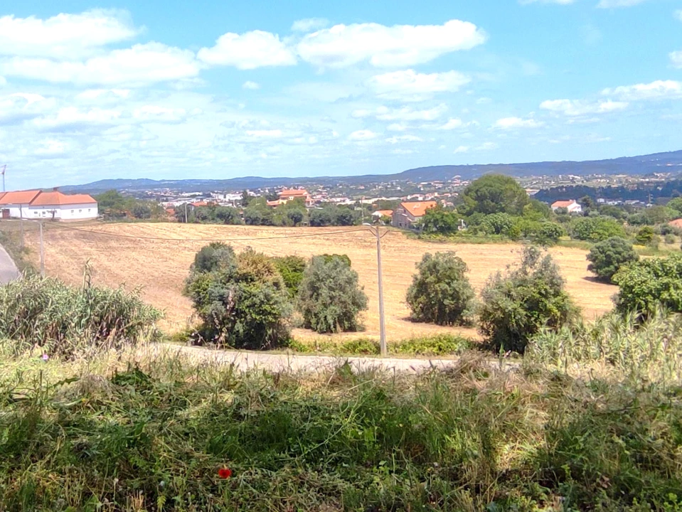 Terreno para Venda em São João Baptista e Santa Maria dos Olivais Foto 7