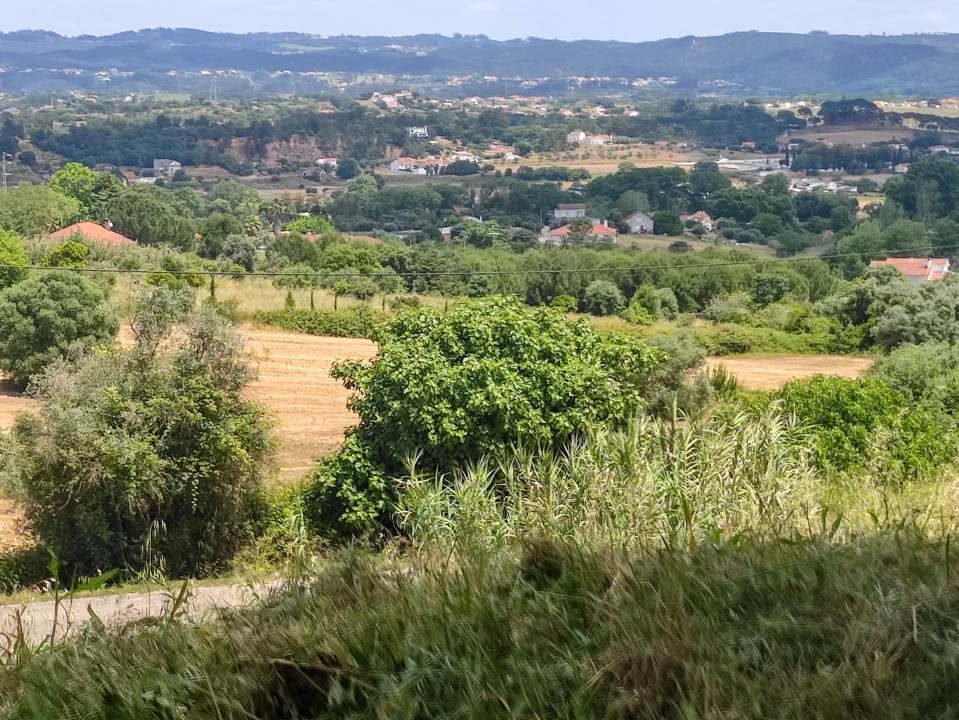 Terreno para Venda em São João Baptista e Santa Maria dos Olivais Foto 4