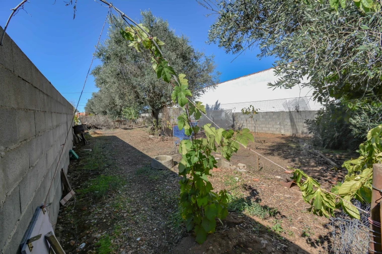 Moradia T2 para Venda em Abrantes (São Vicente e São João) e Alferrarede Foto 19