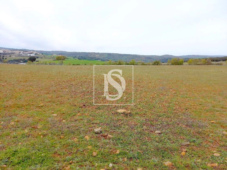 Terreno para Venda em Baçal Foto 5