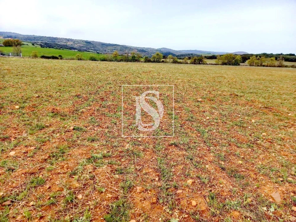 Terreno para Venda em Baçal Foto 1