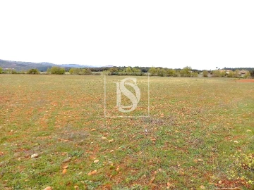 Terreno para Venda em Baçal