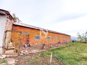 Terreno para Venda em Baçal