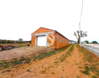 Terreno para Venda em Baçal