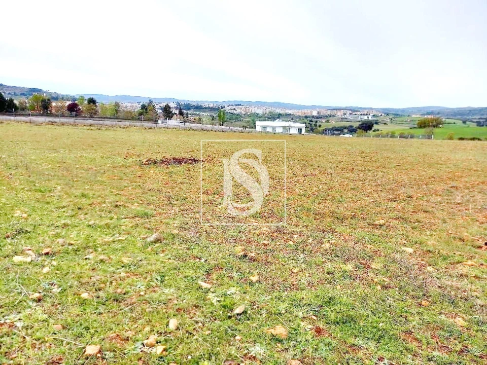 Terreno para Venda em Baçal Foto 4