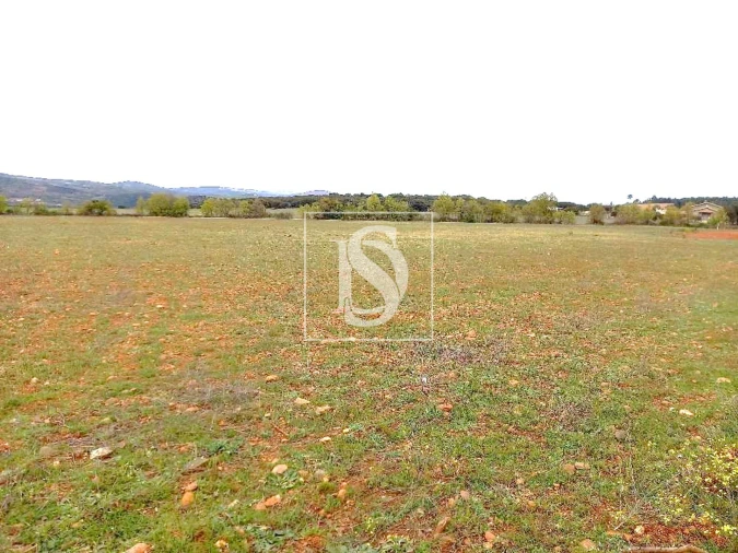 Terreno para Venda em Baçal Foto 6