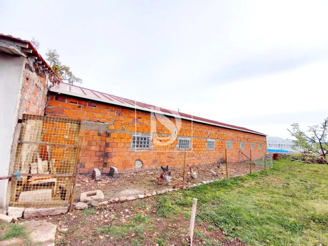 Terreno para Venda em Baçal Foto 11