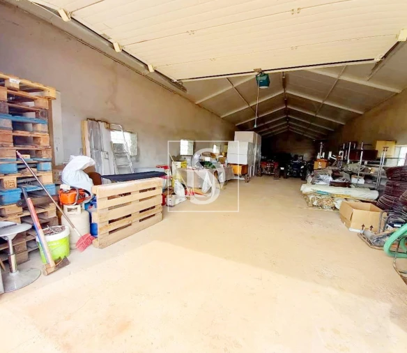 Terreno para Venda em Baçal Foto 15