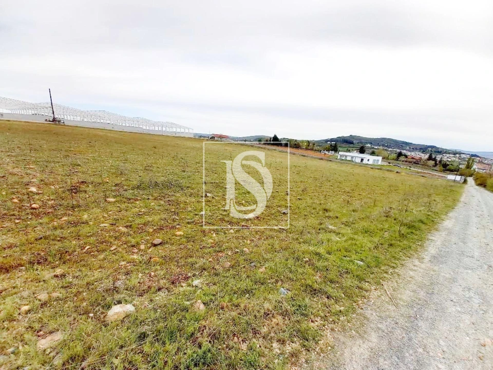 Terreno para Venda em Baçal Foto 8