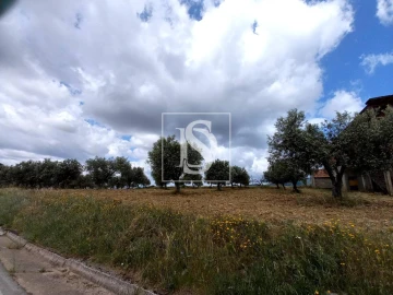 Terreno para Venda em Macedo de Cavaleiros
