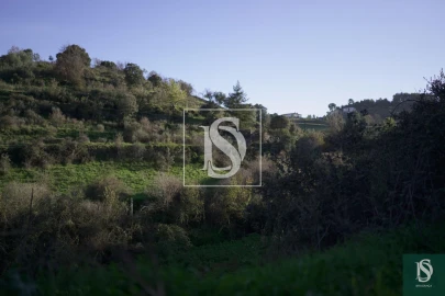 Quinta T0 para Venda em Sé, Santa Maria e Meixedo
