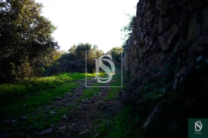 Quinta T0 para Venda em Sé, Santa Maria e Meixedo