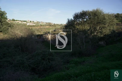 Quinta T0 para Venda em Sé, Santa Maria e Meixedo