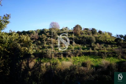 Quinta T0 para Venda em Sé, Santa Maria e Meixedo