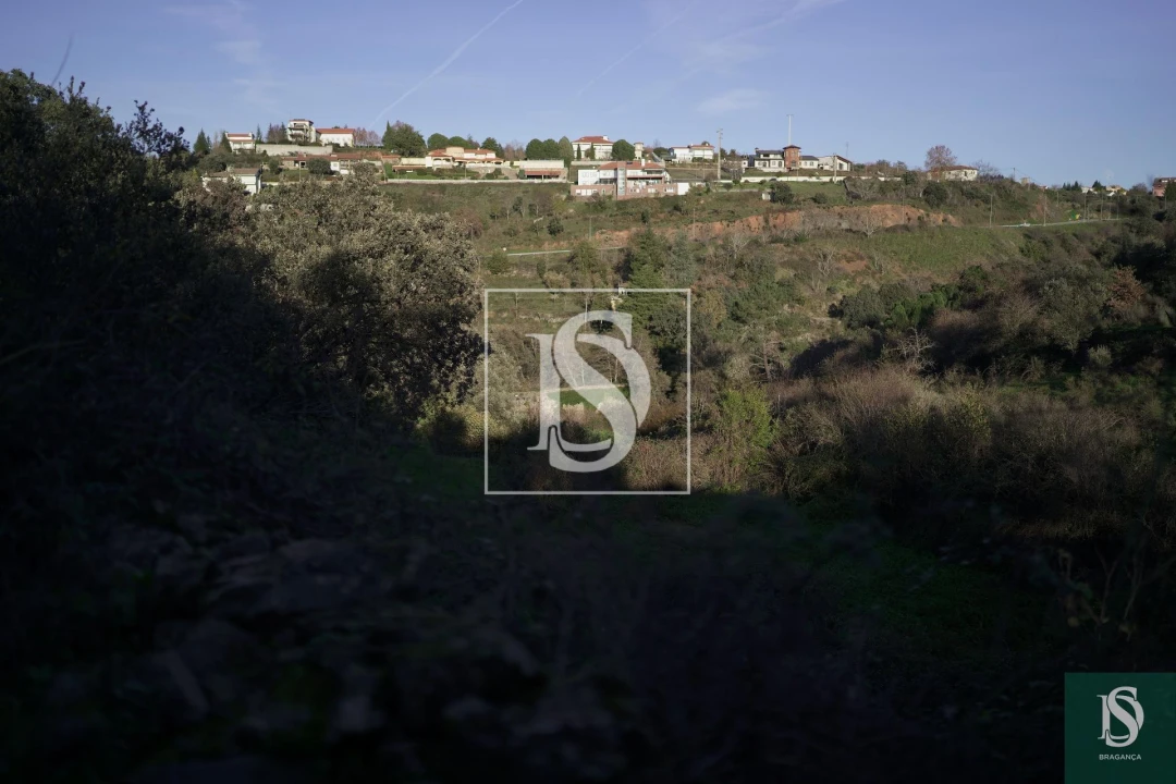 Quinta T0 para Venda em Sé, Santa Maria e Meixedo Foto 18