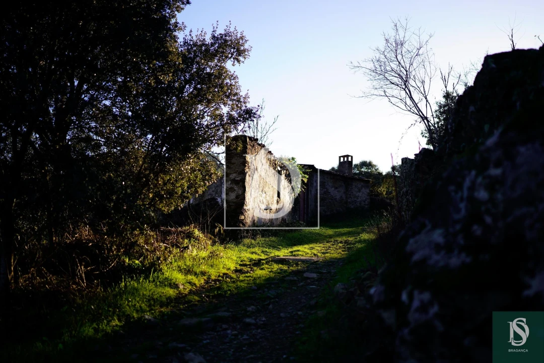 Quinta T0 para Venda em Sé, Santa Maria e Meixedo Foto 19