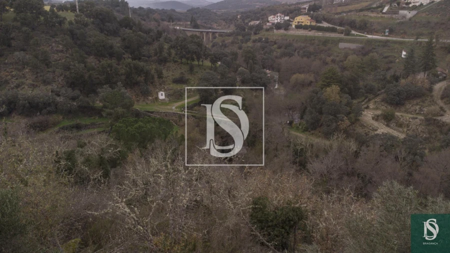 Quinta T0 para Venda em Sé, Santa Maria e Meixedo Foto 7